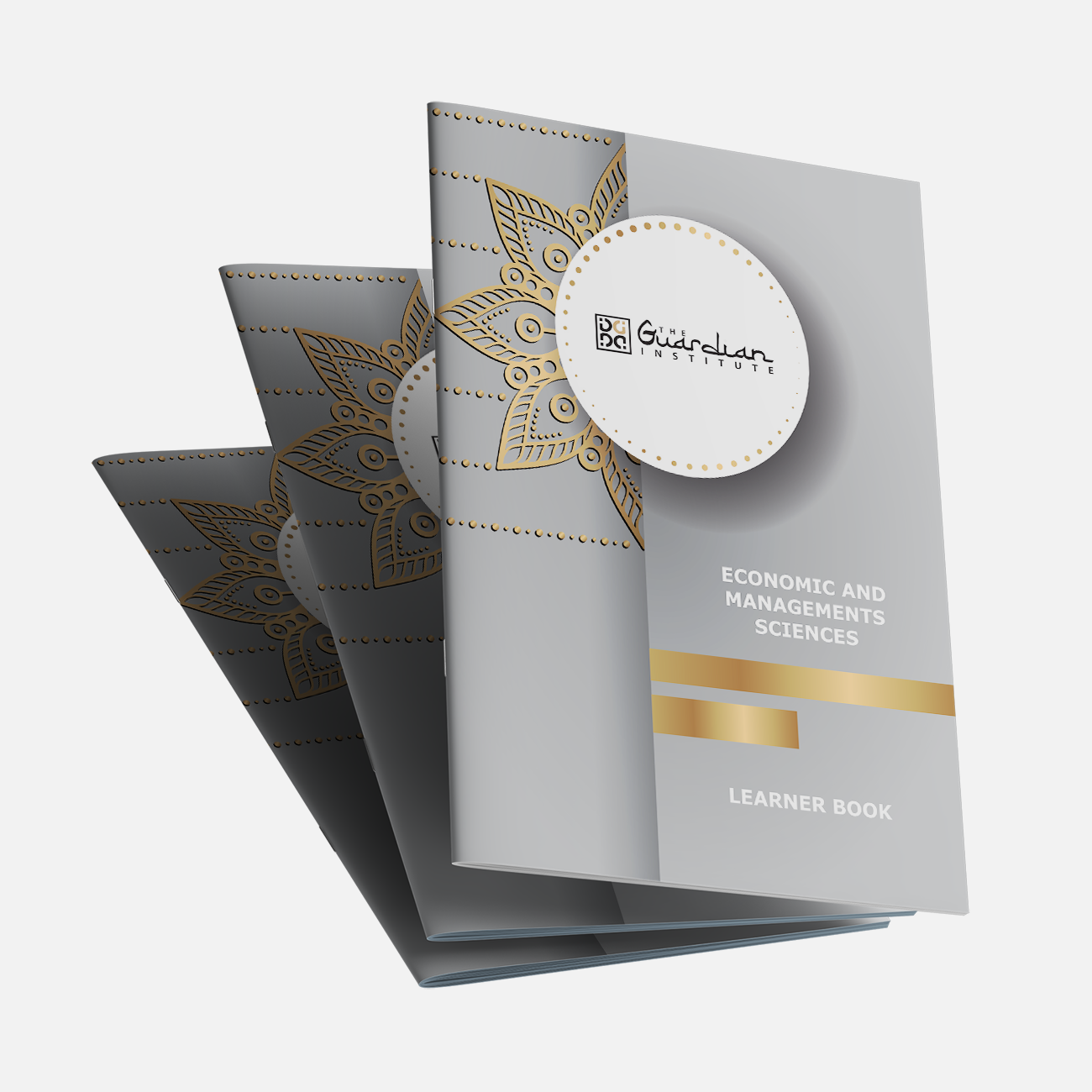 Grade 9 EMS Learner Book (Term 1 & 2) Hardcopy B/W