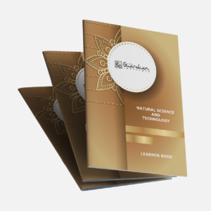 Grade 5 Natural Science & Technology (NST) Learner Book (Term 1 -4) Hardcopy B/W